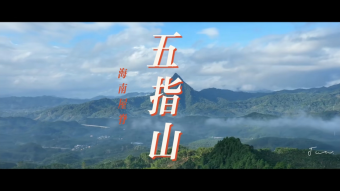 1718970584695565.jpg 1718970538779.jpg