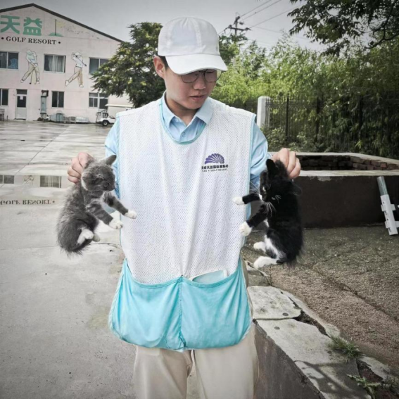 1721143561415730.png image.png