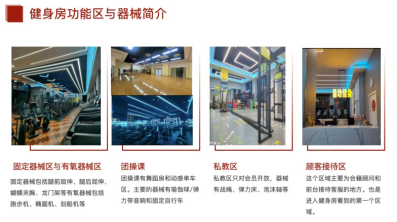 1720170315929056.jpg 1720170311290.jpg